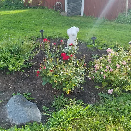 Paradiset * Hammarland