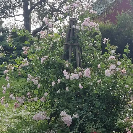 Paradiset Séjour à la campagne