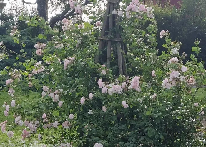 Paradiset Country house